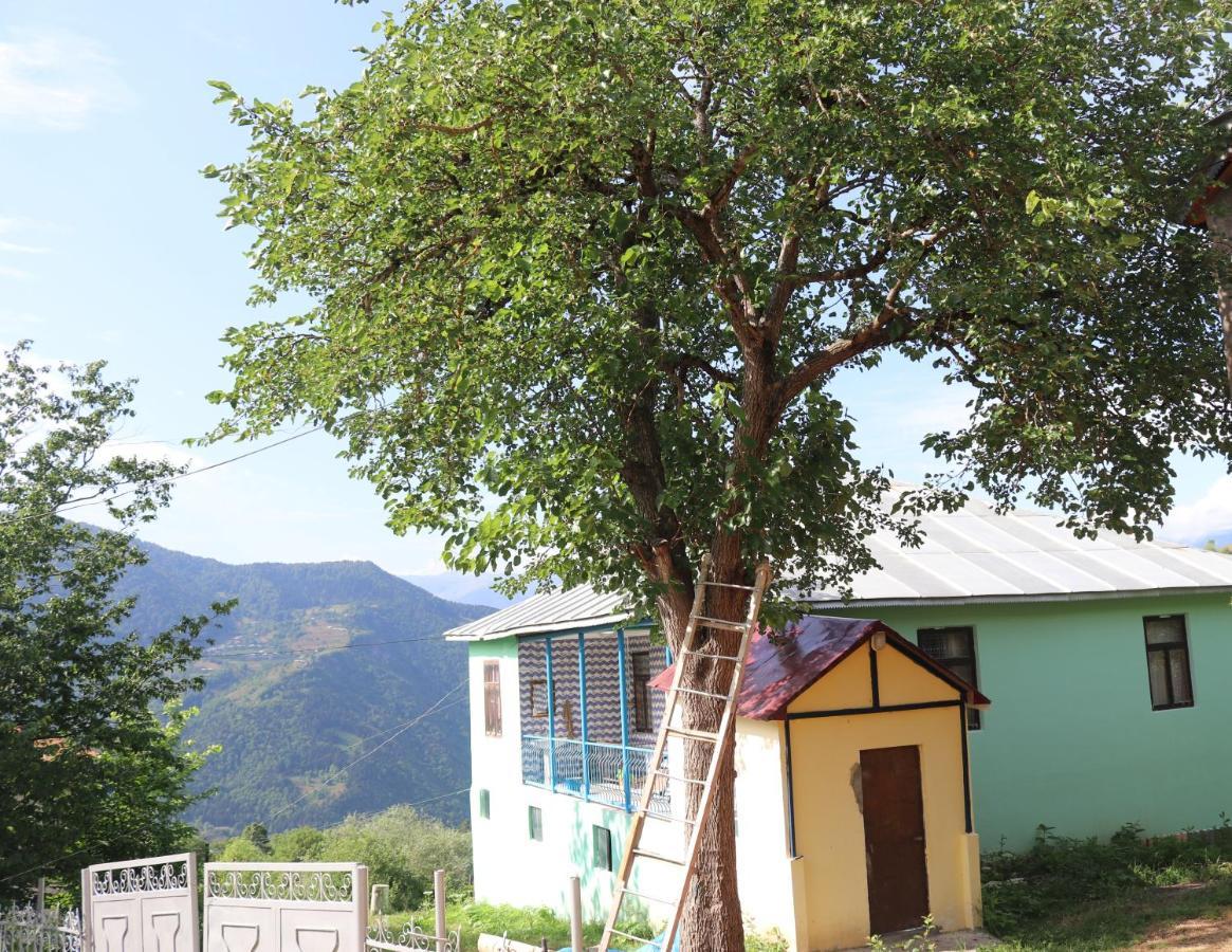 Guest House Chveni Ezo Khulo ภายนอก รูปภาพ
