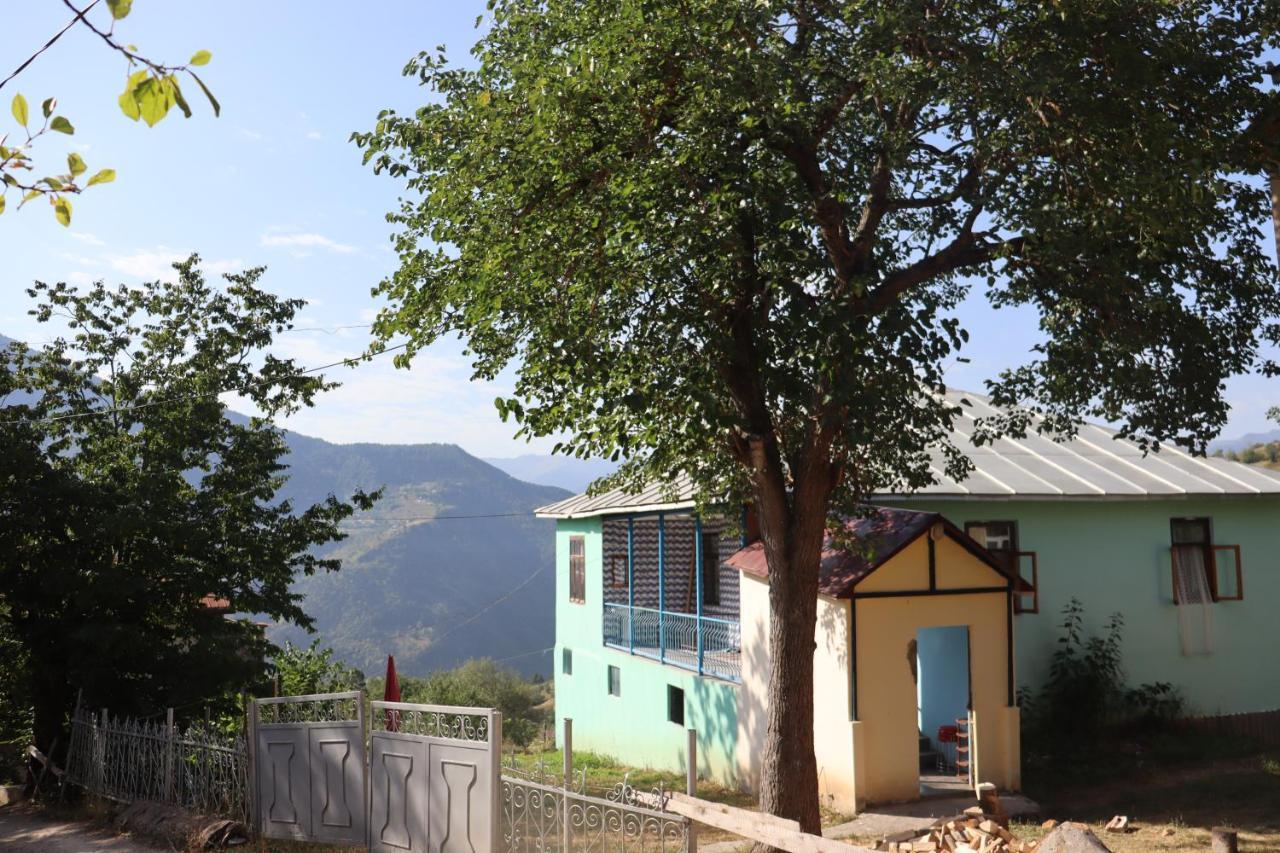Guest House Chveni Ezo Khulo ภายนอก รูปภาพ